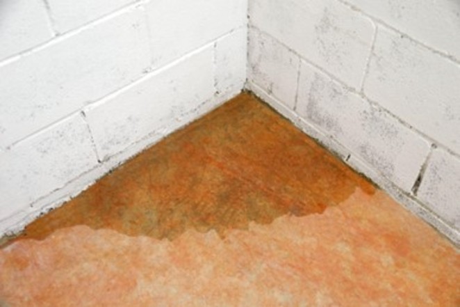 6 Possible Causes of Water In Your Basement